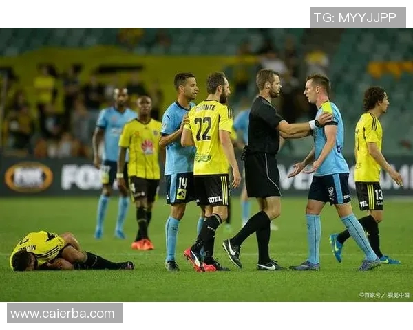 墨尔本胜利与惠灵顿凤凰对决前瞻分析及比赛结果预测