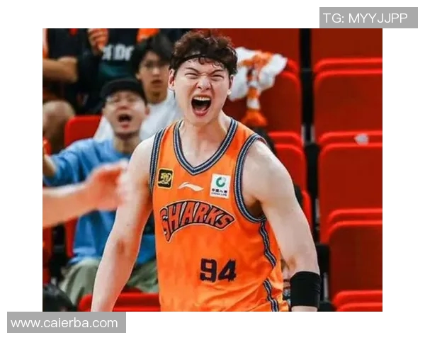 王哲林:从篮球场上的巨星到国家队的领军人物,书写辉煌新篇章 王哲林:从篮球场上的巨星到国家队的领军人物,书写辉煌新篇章